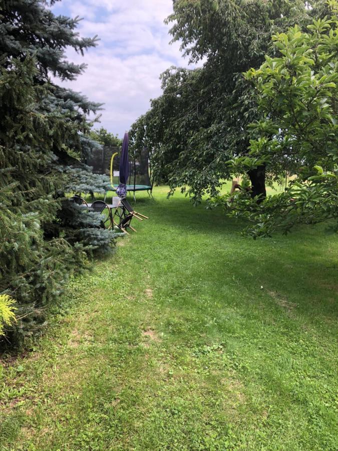 Fewo Rehbach Lipsko Exteriér fotografie